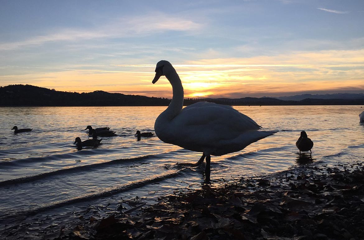 //www.agrilara.it/wp-content/uploads/2020/01/latinamipiace_lago-di-fondi_1170x771px.jpg